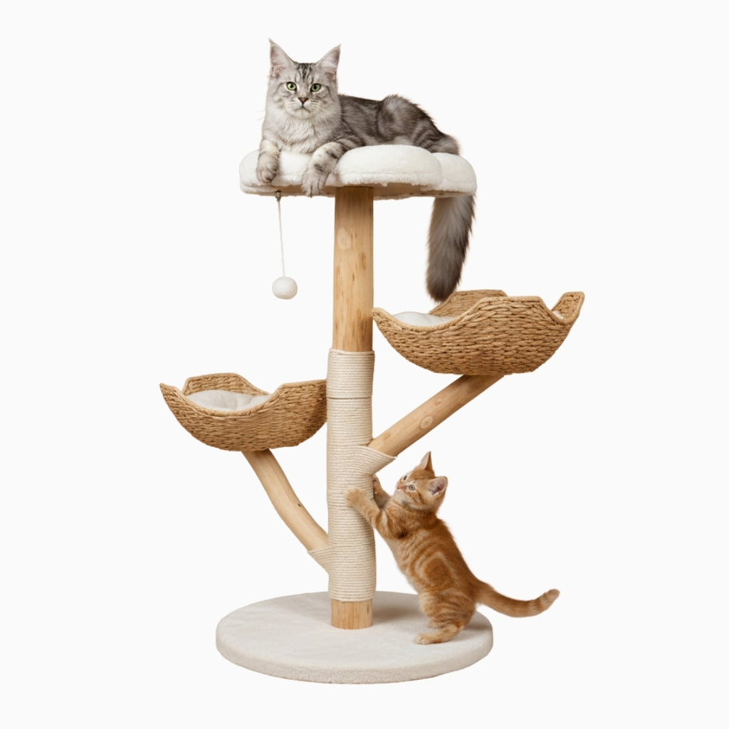 Oxford 111cm Small Cat Tree & Scratching Post | Cat Furniture