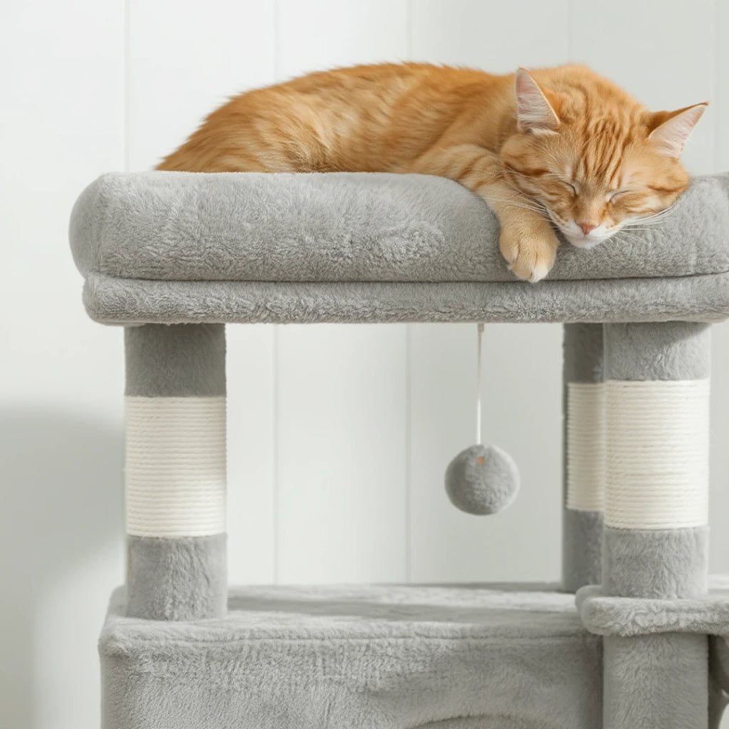 Cornwall 170cm Large Cat Tree & Scratching Post | Cat Furniture