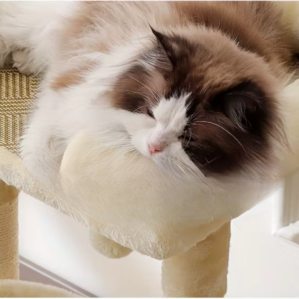 Ascot Cat Tree