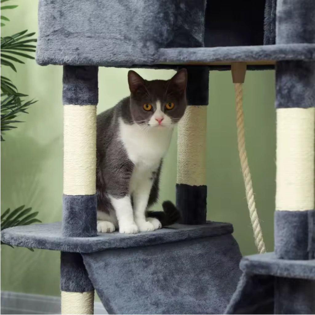 Lancaster 206cm Large Cat Tree & Scratching Post | Cat Furniture