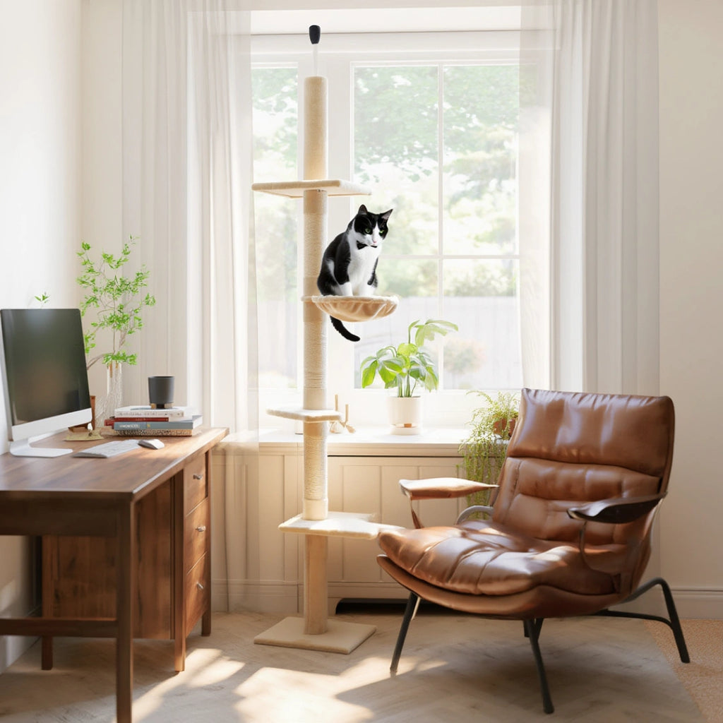 Ascot 230-260cm Large Cat Tree & Scratching Post | Cat Furniture