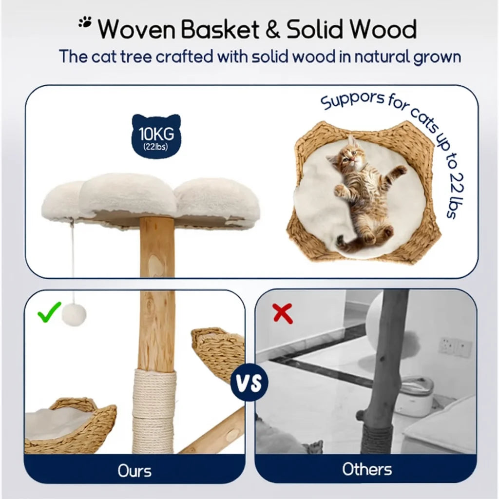 Oxford 111cm Small Cat Tree & Scratching Post | Cat Furniture